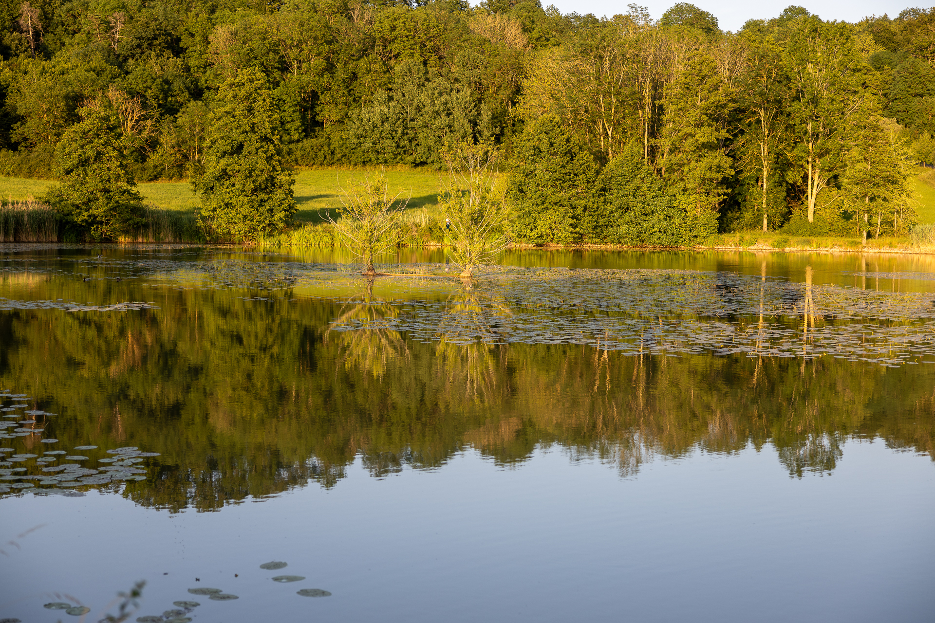 Clubabend am Wasser – Fotografieren unter freiem Himmel