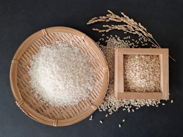 日本情報 日本の食文化17 日本の米を掲載しました