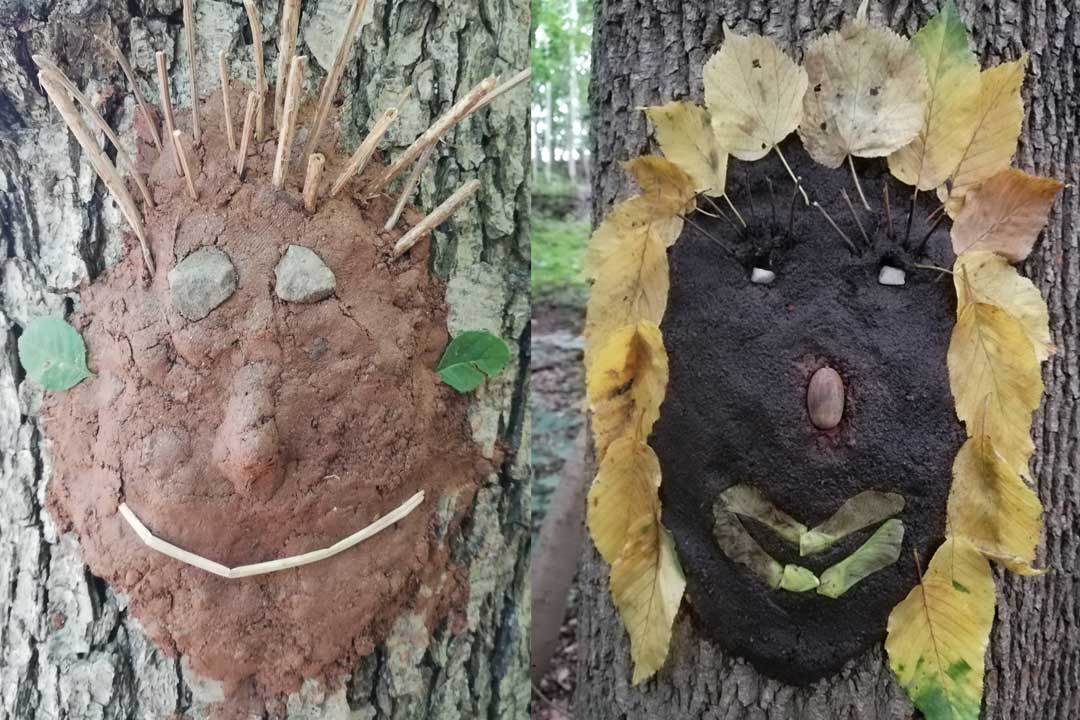 Projekttag - Erlebnisraum Wald