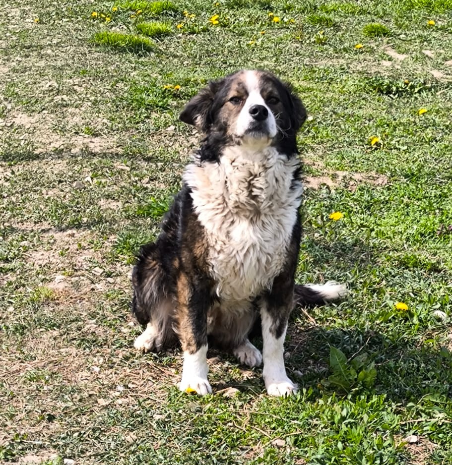 Tim