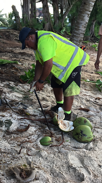 Opening a coconut, nu coconut, fresh coconut, local offering,