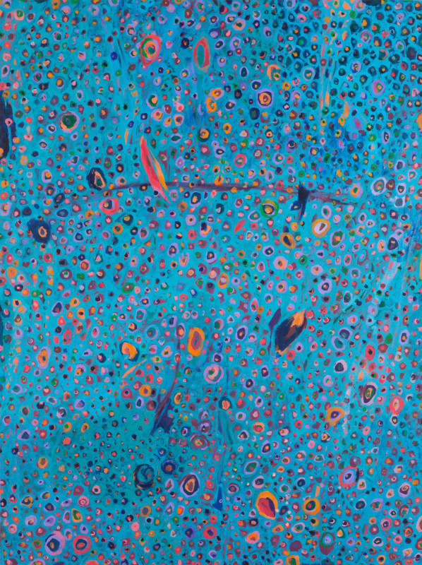 "Suns, Stars, and Cosmic Tree #17", acrylic on canvas (48"x36"), 2014 , available $2,000 (photo- Aaron Johanson)