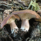 8. Bestimmungsabend 2025