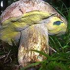 10. Bestimmungsabend 2025