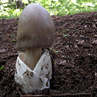 18. Bestimmungsabend 2025