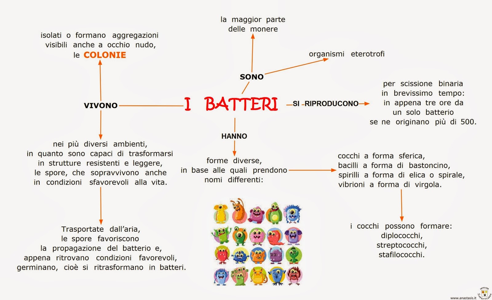 I Batteri Benvenuti Su Macromicro8 I cocchi sono batteri di forma sferica. i batteri benvenuti su macromicro8