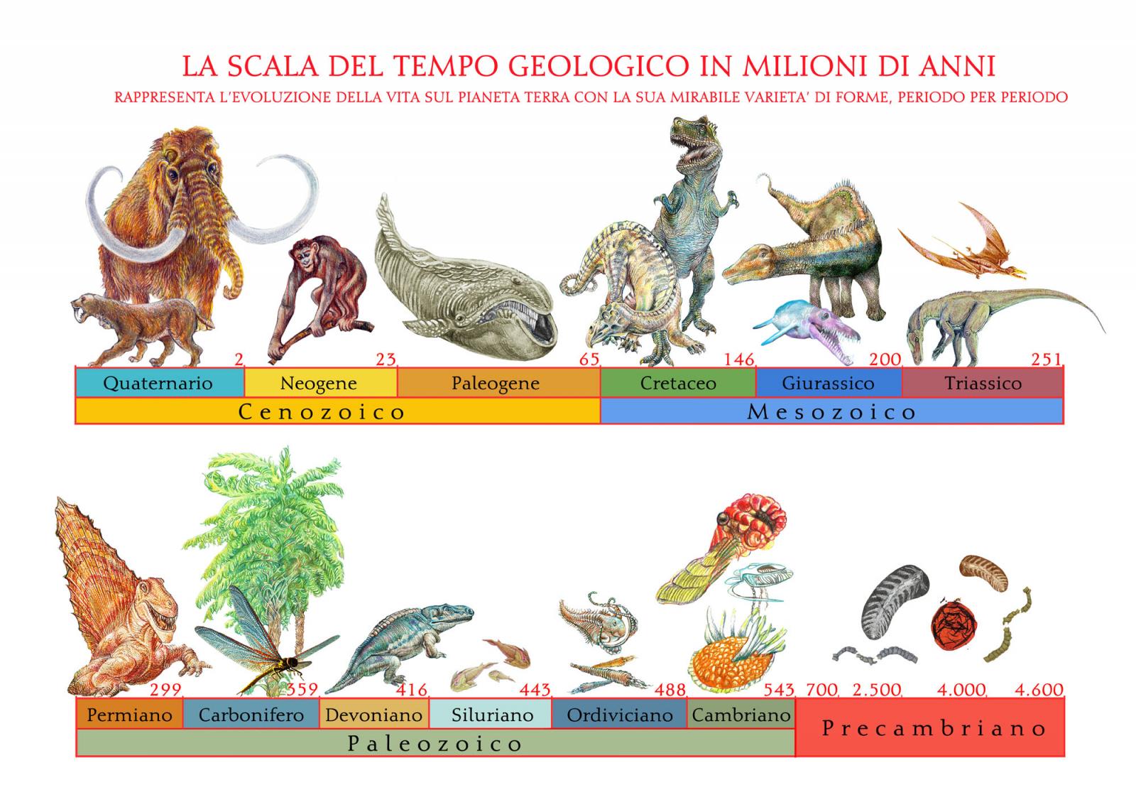 La Storia Lo è Della Vita