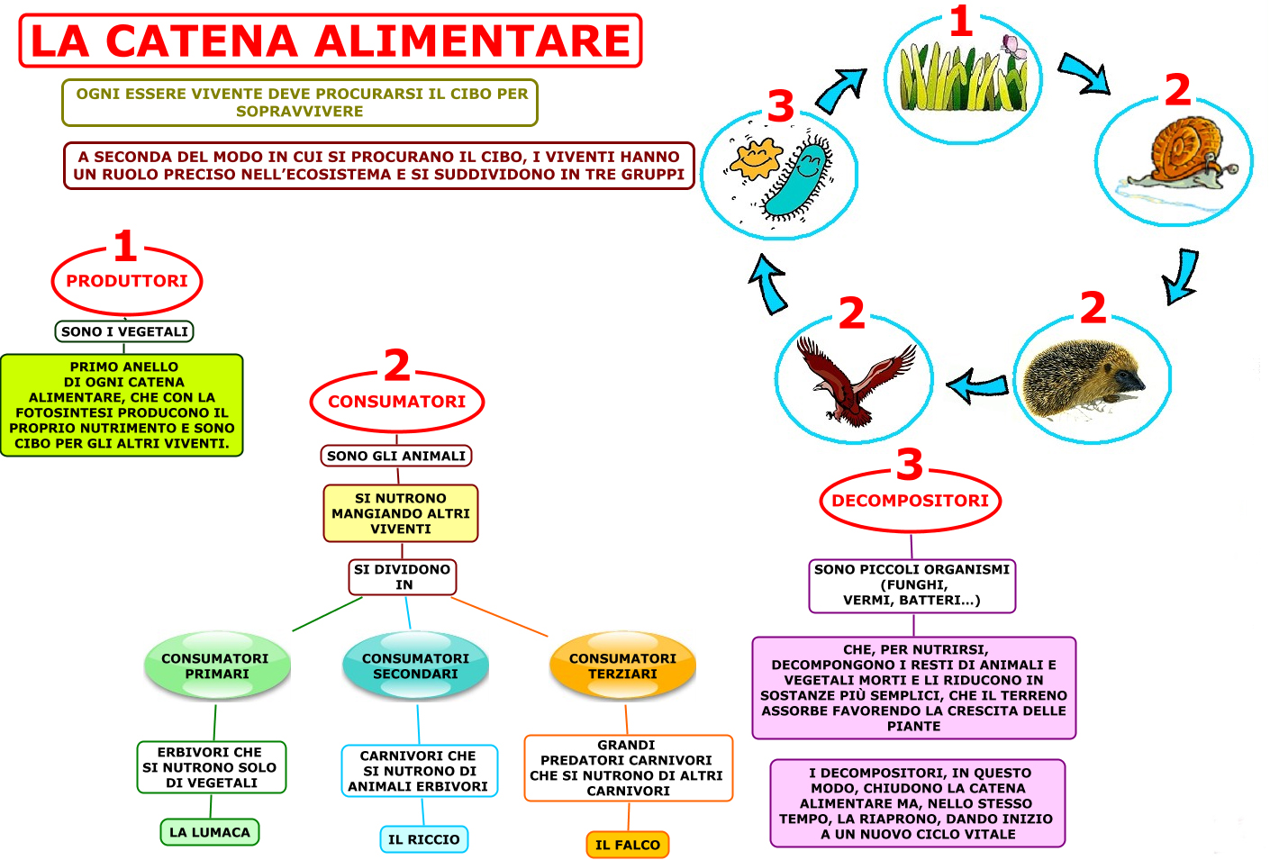I Vegetali Sono Esseri Viventi chagnacy I Vegetali Sono Esseri Viventi chagnacy