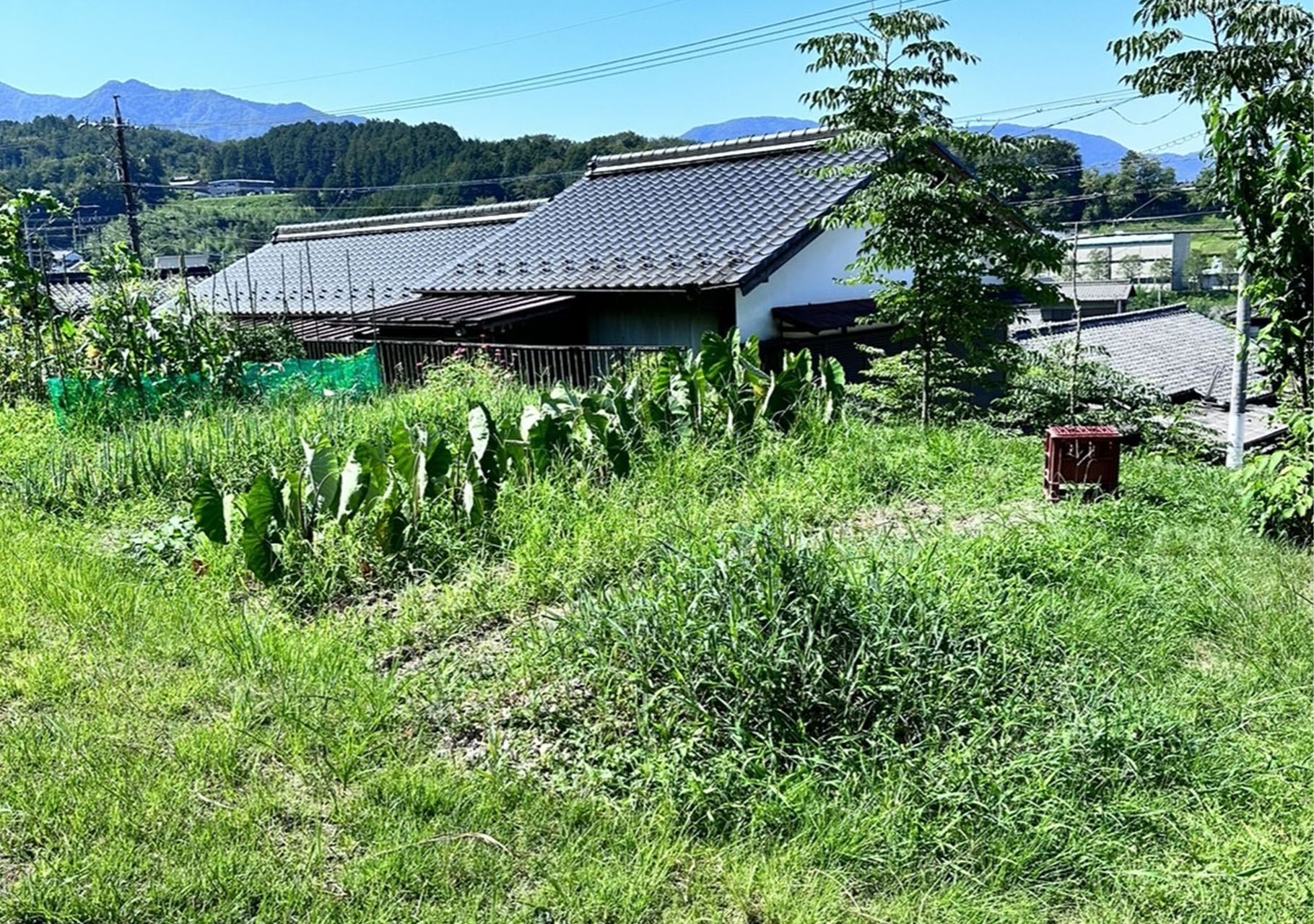 中津川　草刈り代行　