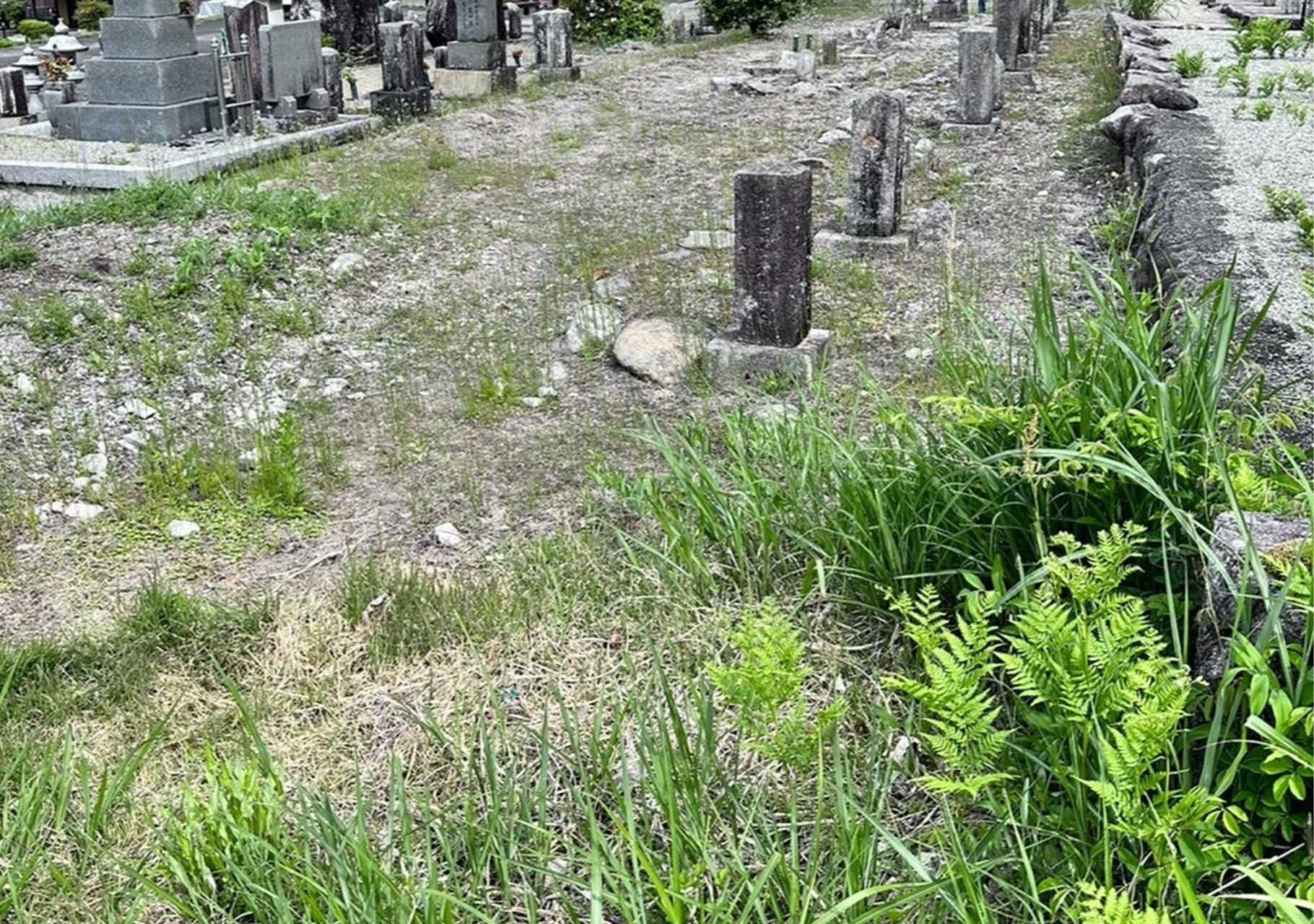 恵那市在住　70代女性　お墓の草刈り代行