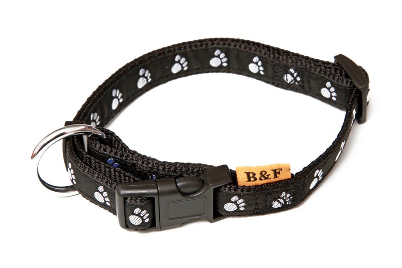 Welpen / Junior Halsbnder - hundesport-ohm