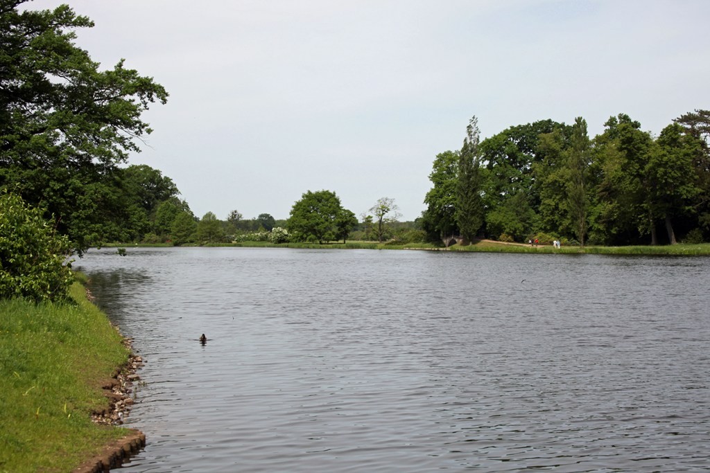 Der Wörlitzer See mit Wolfsbrücke und Schochs Garten rechter Hand