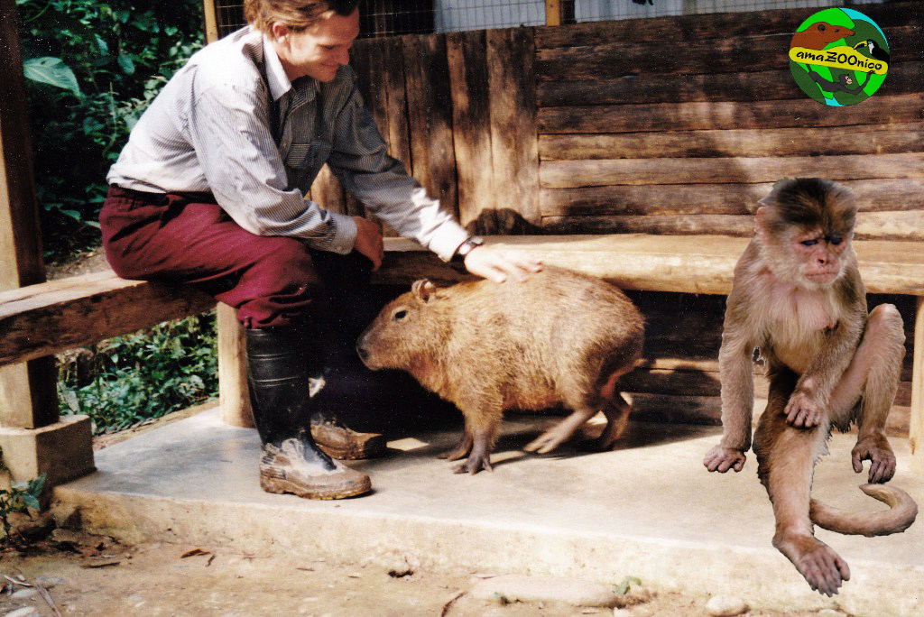 Capybara+kleines Äffchen
