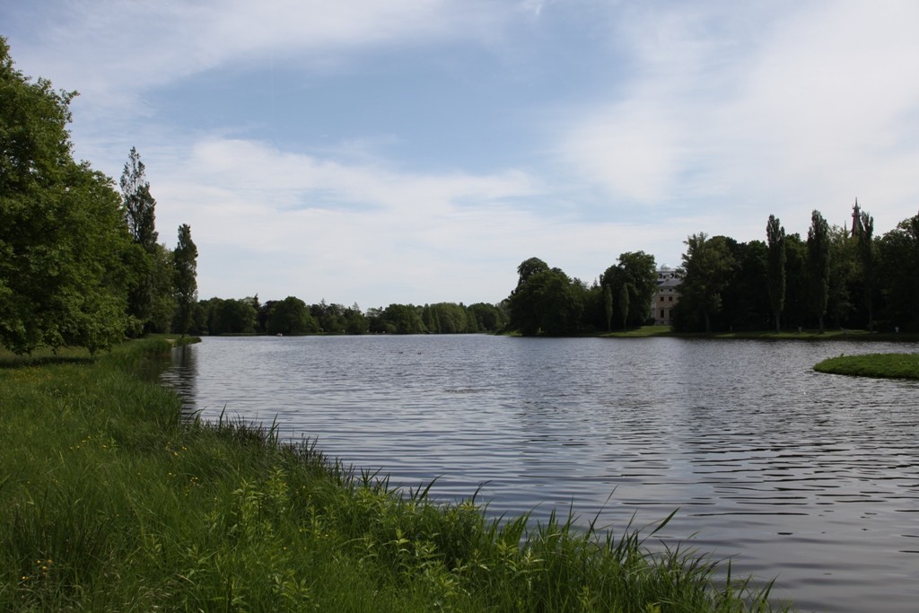 Detail des Wörlitzer See´s