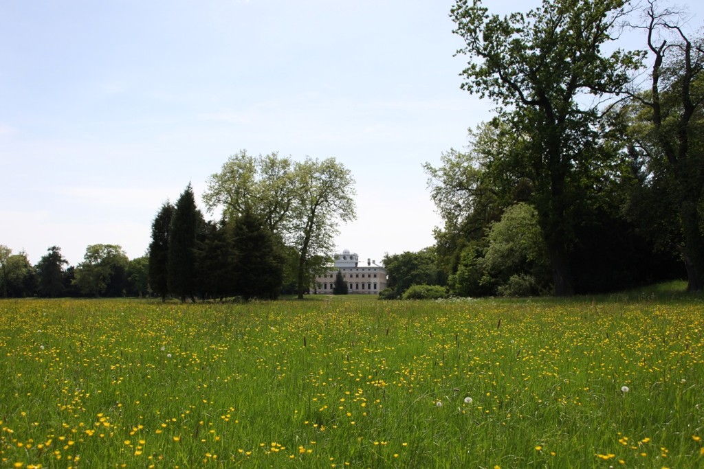 Das Wörlitzer Schloss von Schochs Wiesen aus gesehen