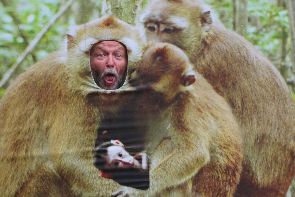 Wir beide müssen erst einmal ein "Passfoto" von uns machen!