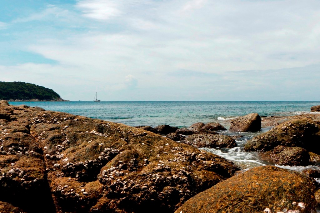 Die Klippen von Nai Harn Beach, idealer Lebensraum der Brandungs- oder Felsenkrabbe!