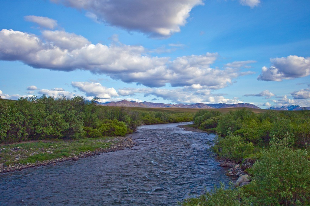Der der North Klondike River am Dempster HWY ca. 60 Km vor der Kreuzung zum Klondike HWY