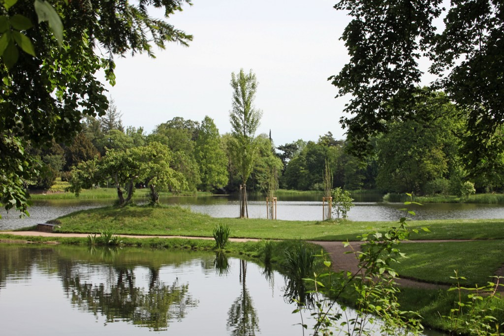 Wörlitzer Wasserlandschaft die einfach nur gefällt