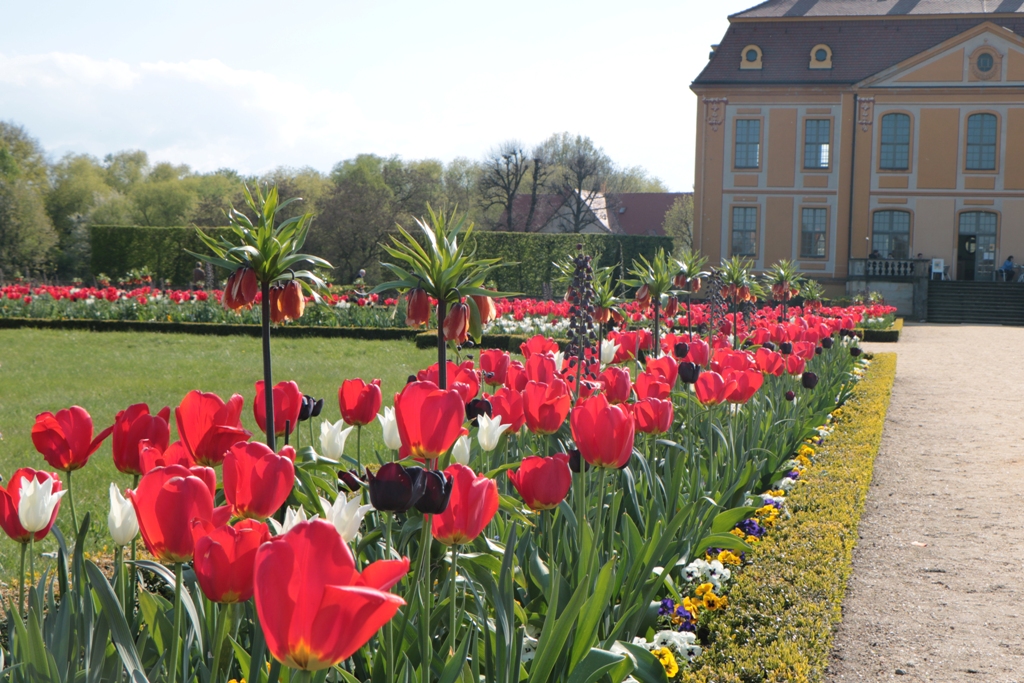 ...Blumen und Blütenpracht im Schlossgarten