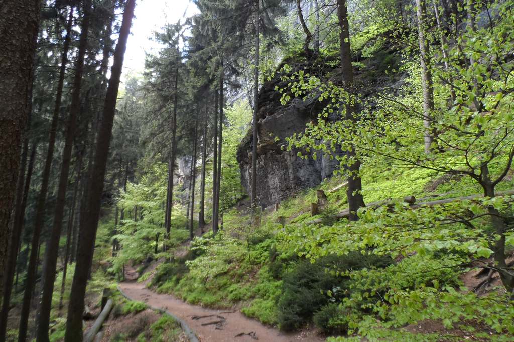 In Rainwiese haben wir auf die Rast verzichtet und sind zügig den Gabrielensteig bergan gelaufen