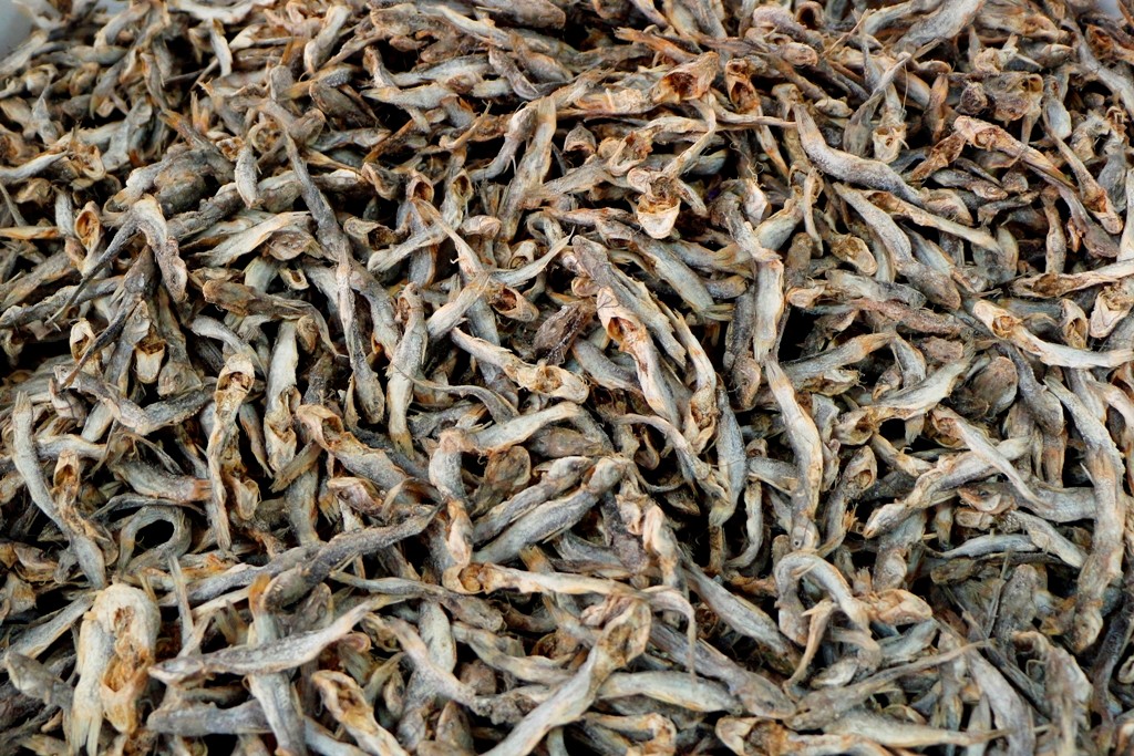 Könnte gut und gerne ein Quizfoto sein - was ist das? = Trockenfisch