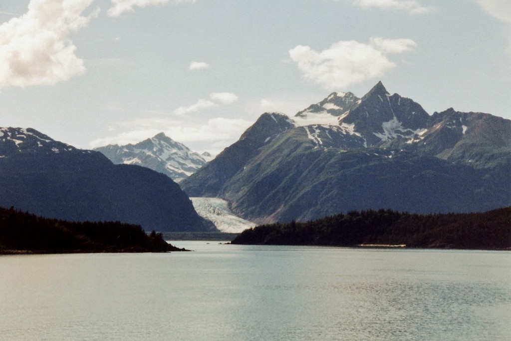 Gletschen im Chilkat Inlet (Chilkat State Park)