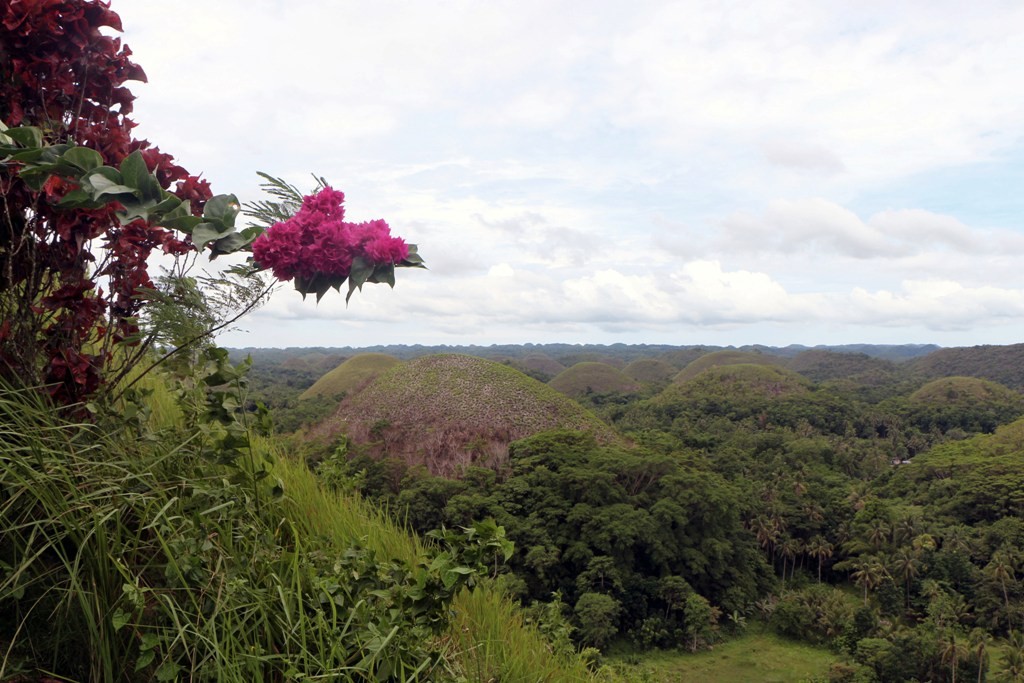 Fotografische Impressionen von den Chocolate Hills, wir sind zu zeitig hier um sie braun gefärbt zu erleben!