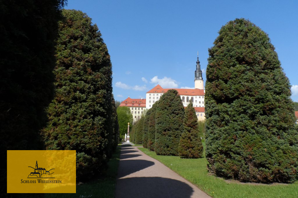 ...im Schlossgarten der Burg Weesenstein