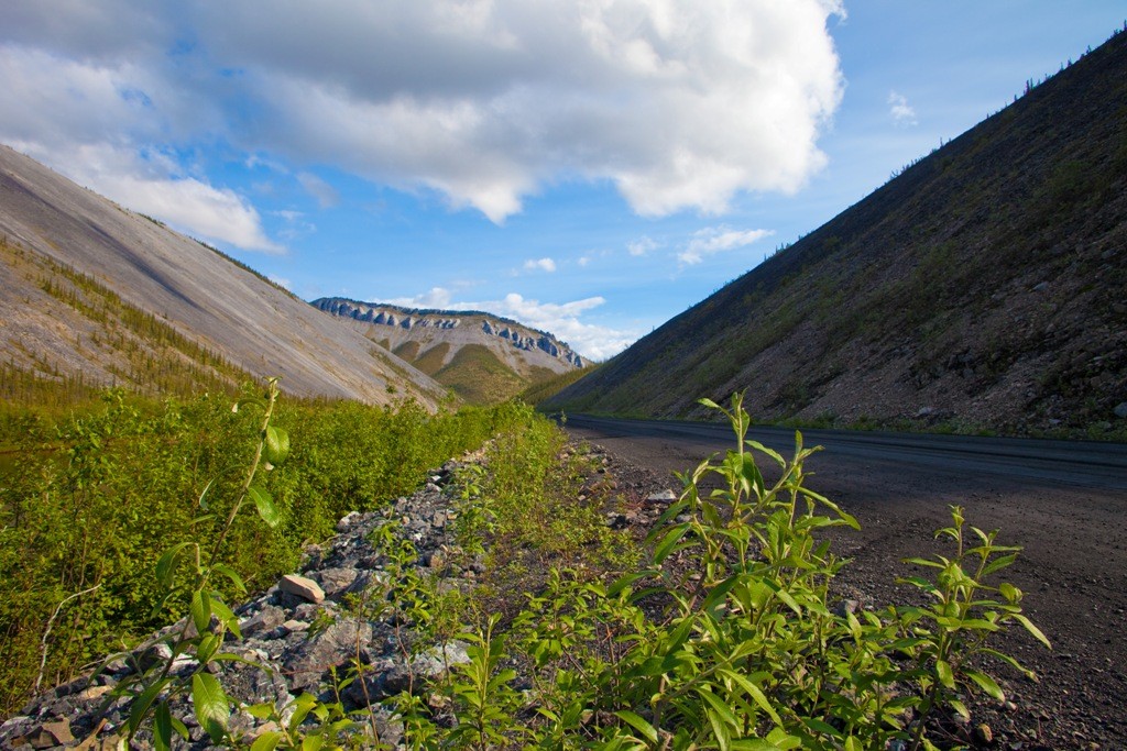 Impressionen entlang des Dempster HWY