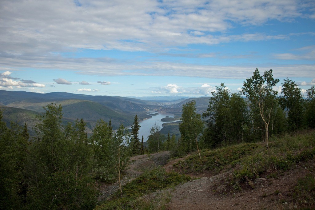 Der Yukon River, der "nur" Platz 33 auf der Liste der längsten Füsse der Erde einnimmt, ist fünft längster Fluss des nordamerikanischen Kontinents hat seine Quelle in den Coast Mountains