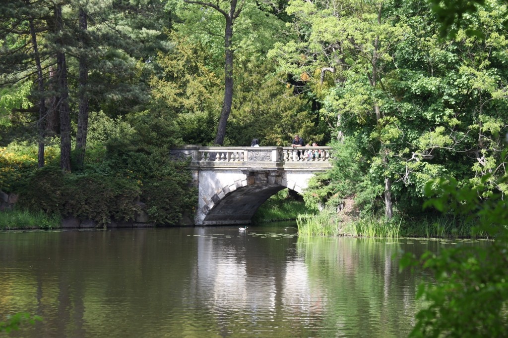 Die Neue Brücke am Verbindungskanal Kleines Wallloch - Wörlitzer See ist wirklich die neuste Brücke im Park. 