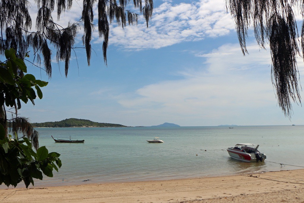 Rawai Beach, die Strandpromende ist mit dem immergrünen, Schatten spendenden Casuarina Baum pepflanzt. Das Wort steht für den in Australien beheimateten Vogel Cassowary - sein Laub erinnert an dessen Federkleid!