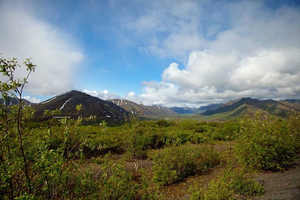 Blick in ein Teilstück des Taiga Valleys