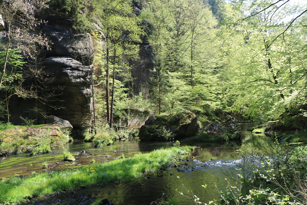 ...die grüne Idylle der Klamm nimmt uns in ihren Bann!
