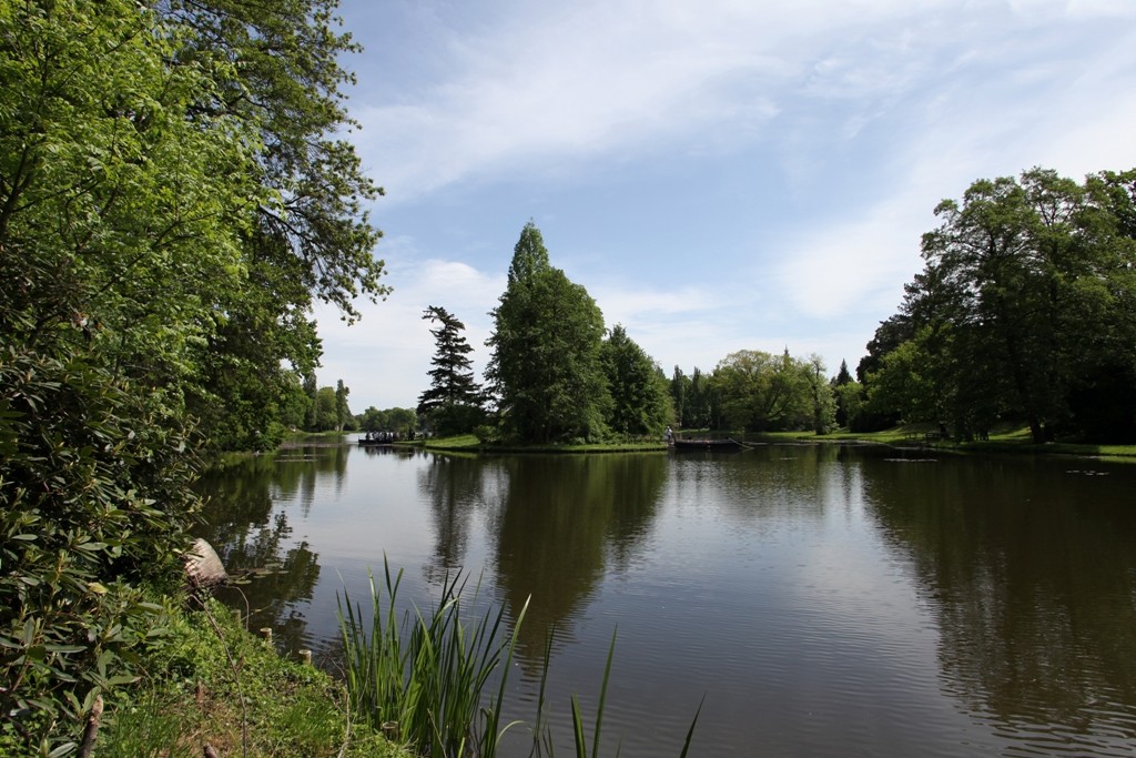Beeindruckende und zugleich beruhigende Wasserlandschaft um den Wörlitzer See