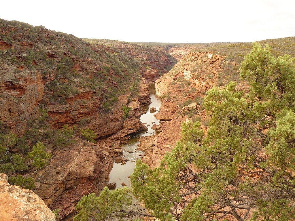 Teilansicht des Murchison Valleys im Nature Reserve des Kalbarri NP