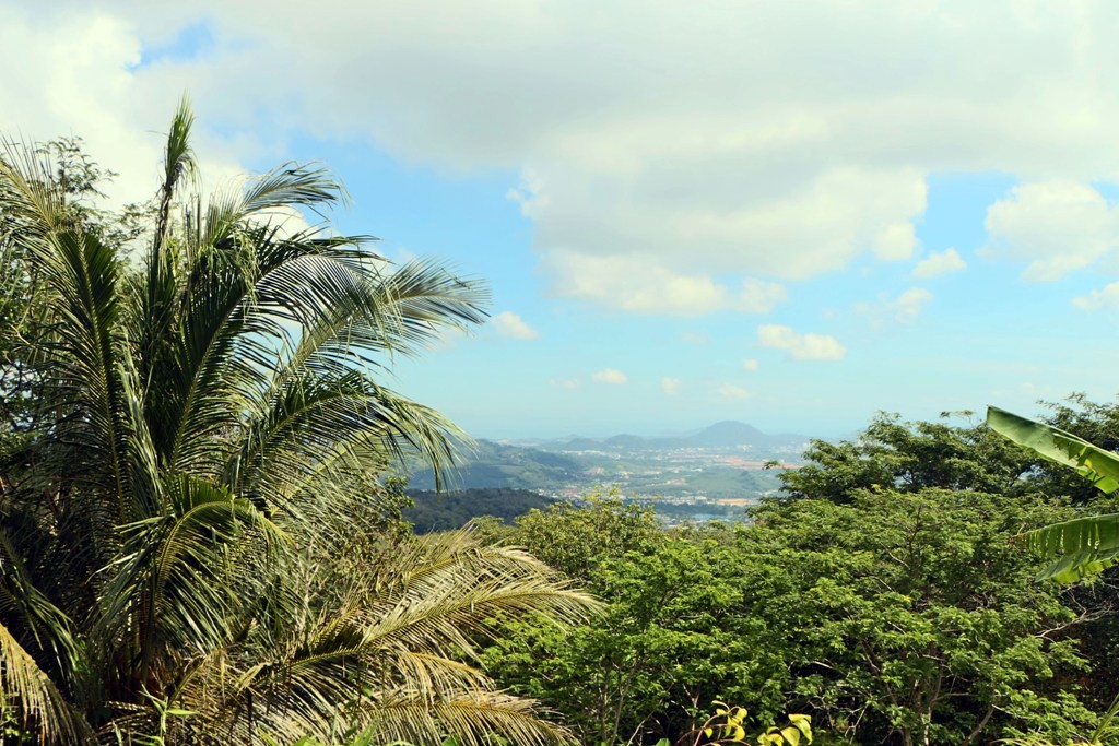 Im Hintergrund ist Phuket Town zu erkennen