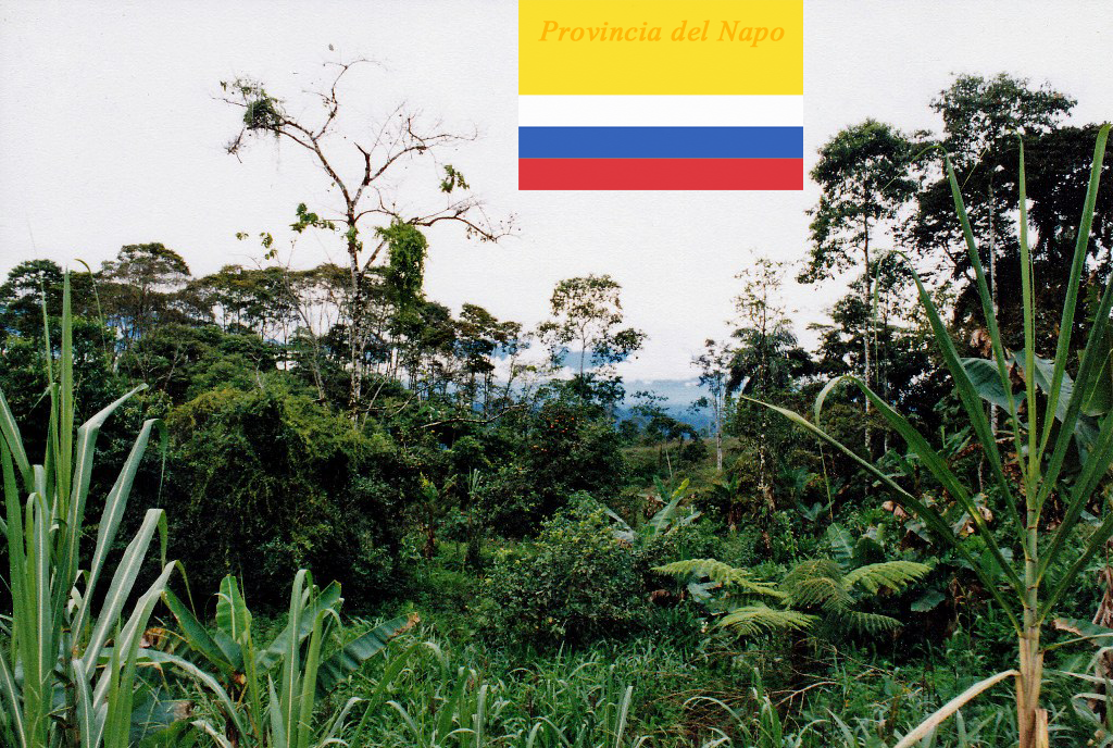 Wir sind im Oriente, im Regenwald des Amazonasbeckens angekommen