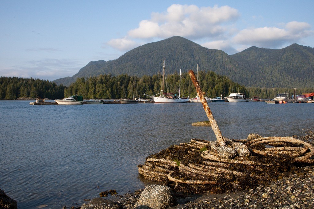 Tofino Inlet, Impressionen