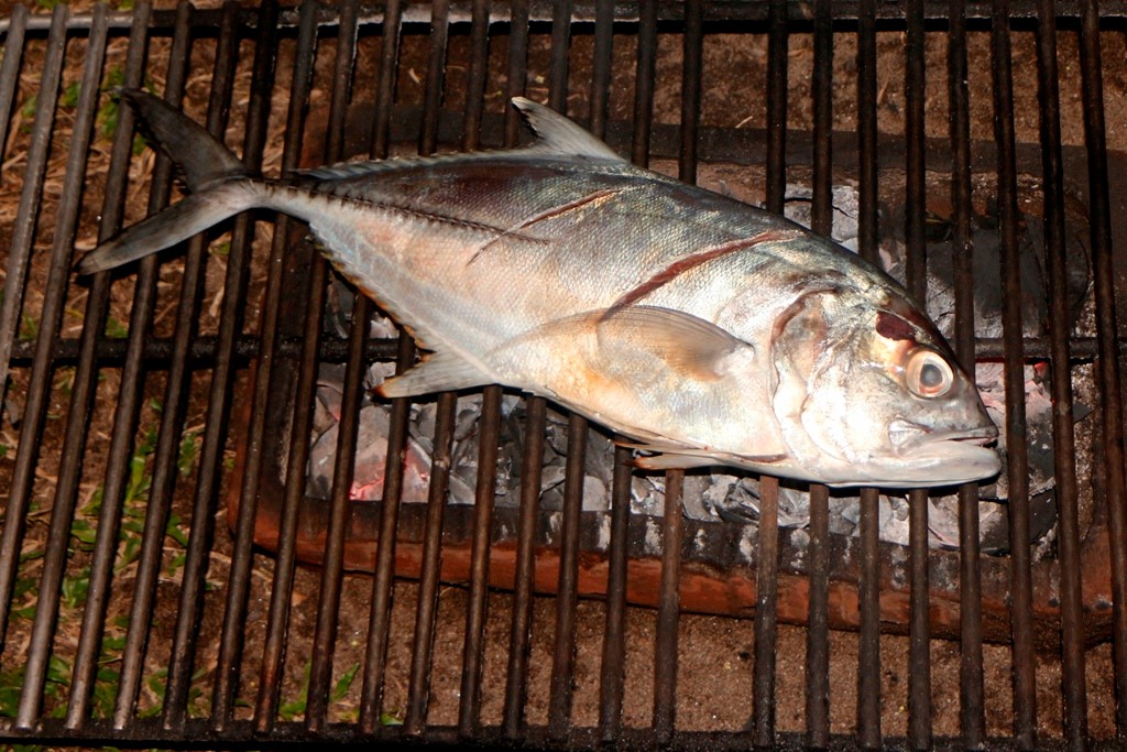 Und das ist unsere Hauptattraktion für den Gaumen, ein Mamsa oder Jackfish wird auf Holzkohle fachgerecht gegrillt!