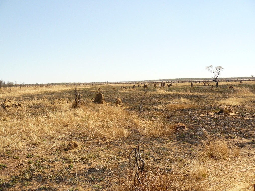 Auch hier, am Derby HWY, verbranntes Land, die Luft ist vom Brandgeruch geschwängert.