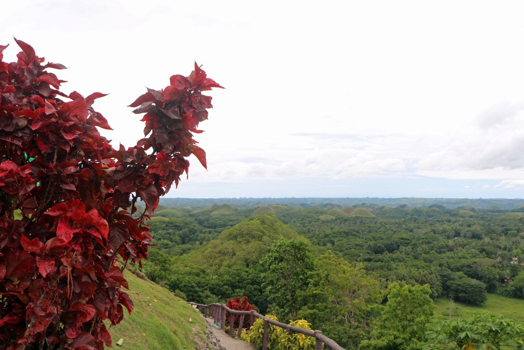Fotografische Impressionen von den Chocolate Hills