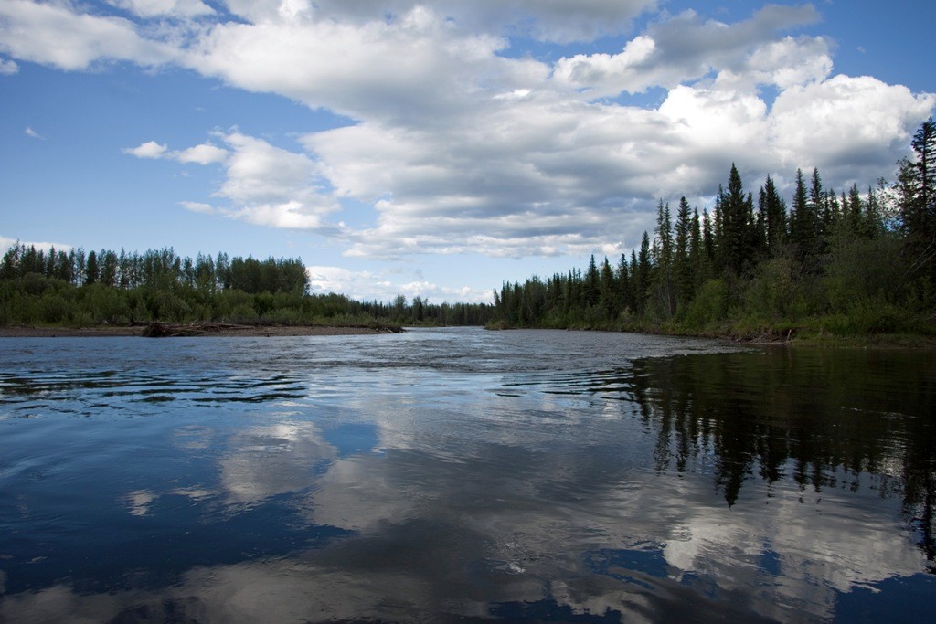 Der etwas seicht daher kommende Klondike River, mit nur 161 Km ein "Winzling" unter den Flüssen im Norden.