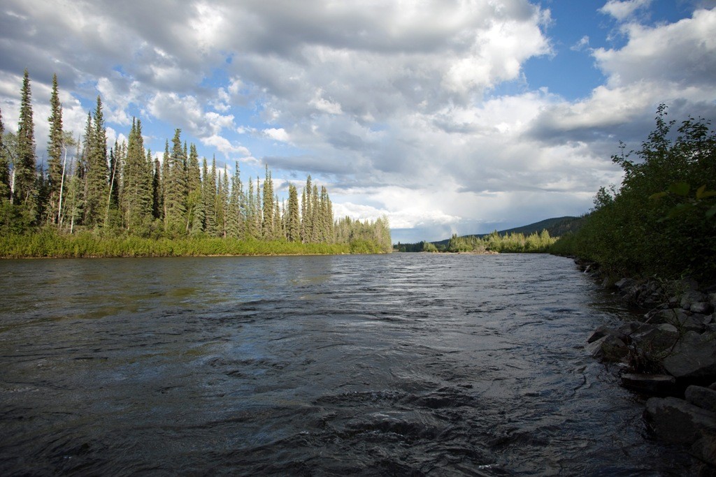 Den Namen verdankt der Klondike River seinem Fischreichtum, der von den Indianern -Fluss voller Fische- genannt wurde woraus etwas abgewandelt dann sein heutiger Name entstand
