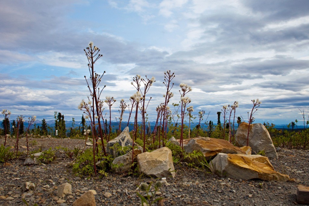 Impressionen auf den Eagle Plateau