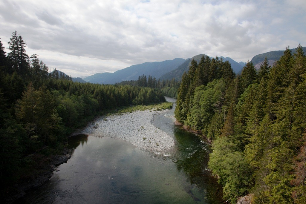 Gold River, eine Aufnahme schöner als die andere