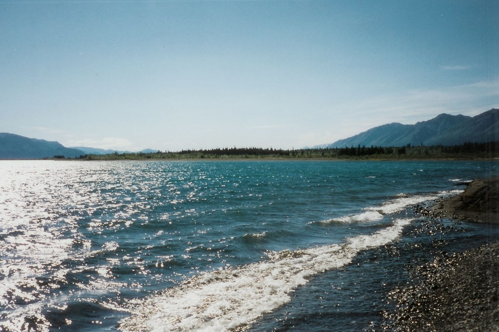 Ufer des Kluane Lakes