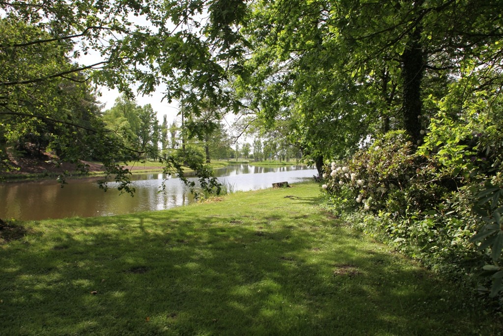 Wörlitzer See und im Hintergrund die Rousseauinsel