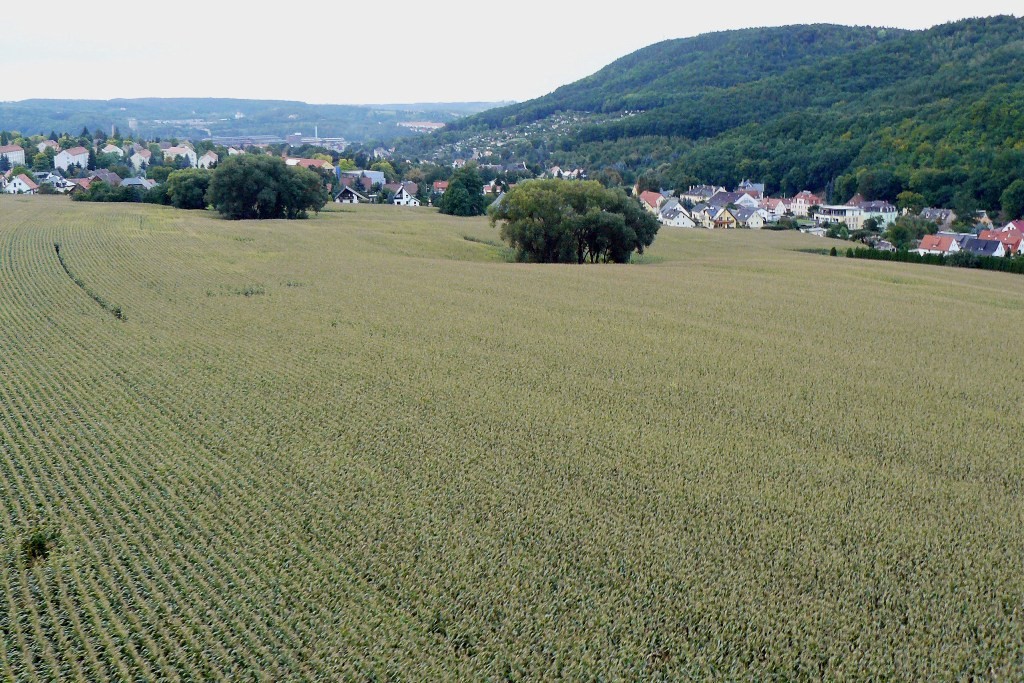 ...kurz vor der Landung nahe Obernaundorf
